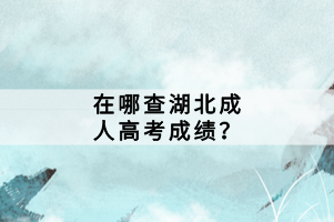 在哪查湖北成人高考成绩？