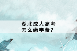 湖北成人高考怎么缴学费？