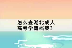 怎么查湖北成人高考学籍档案？