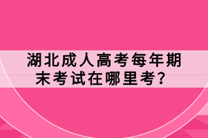 湖北成人高考每年期末考试在哪里考？