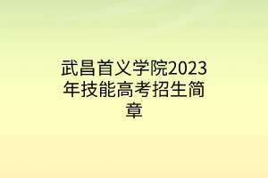 武昌首义学院2023年技能高考招生简章