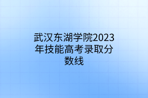 武汉东湖学院2023年技能高考录取分数线