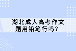 湖北成人高考作文题用铅笔行吗？