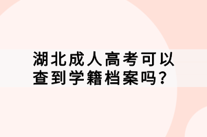 湖北成人高考可以查到学籍档案吗？