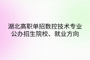 湖北高职单招数控技术专业