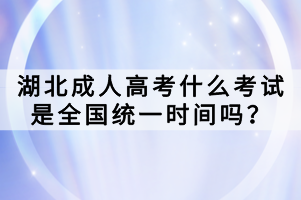 湖北成人高考什么考试是全国统一时间吗？