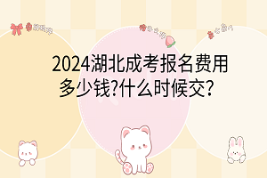 卡通手绘风可爱电脑分区壁纸__2024-03-07 15_56_44