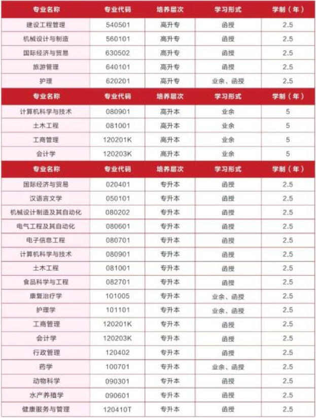 招生专业分布