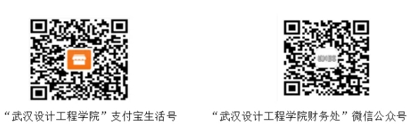 武汉设计工程学院