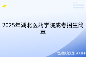 默认标题__2025-03-25+17_28_08