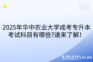 默认标题__2025-04-25+11_40_23