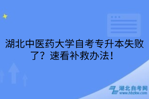 默认标题__2025-05-08+10_17_38