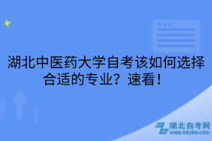 默认标题__2025-05-10+11_18_23