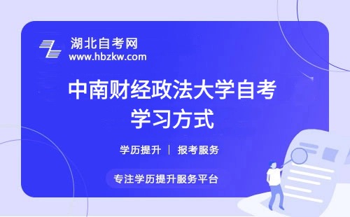 学习方式