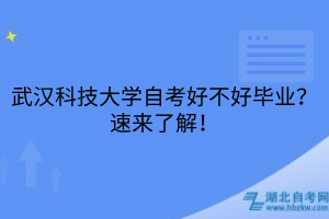 默认标题__2025-05-22+18_14_25