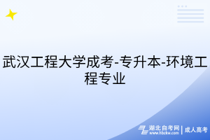 默认标题__2025-07-17+18_21_10