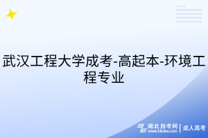 默认标题__2025-07-21+17_16_27