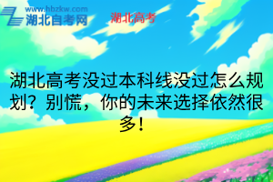 默认标题__2025-08-12+17_30_04