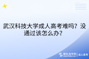 默认标题__2025-08-12+17_37_37