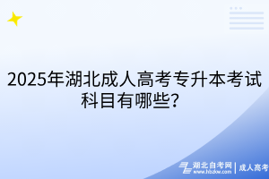 默认标题__2025-08-14+17_51_42