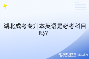 默认标题__2025-08-19+17_09_36