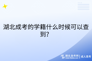 默认标题__2025-08-21+17_05_23