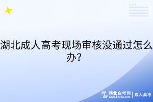 默认标题__2025-08-29+17_49_21