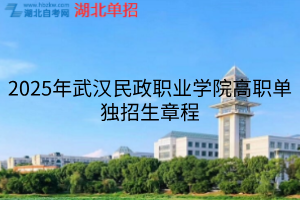 默认标题__2025-11-08+17_30_10