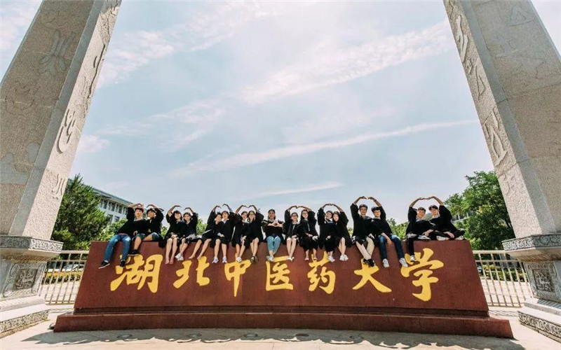 湖北中医药大学自考网上报名