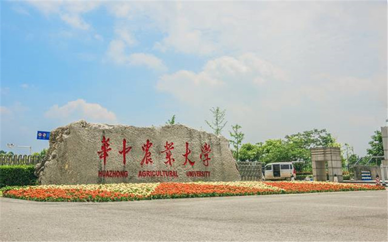 华中农业大学成人高考网上报名